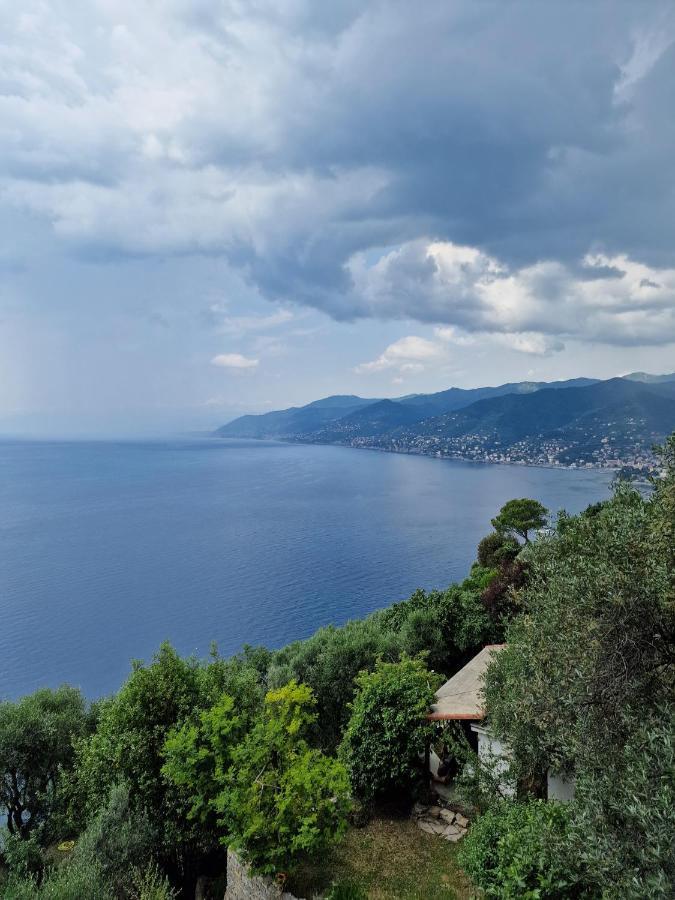 Casa Tisolo Διαμέρισμα San Rocco  Εξωτερικό φωτογραφία